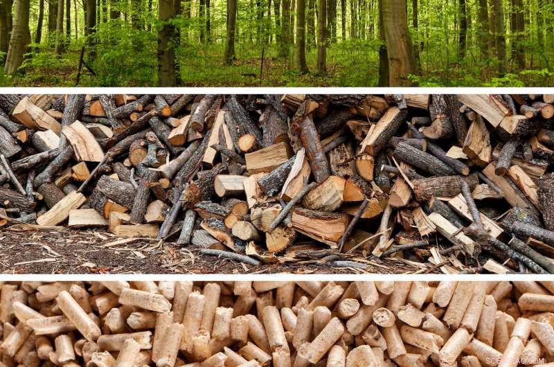Wood Pellets: Renewable Energy, Yet Not Carbon Neutral