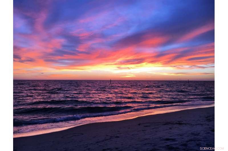 Gulf of Mexico Dead Zone Likely to Persist for Decades, Study Finds