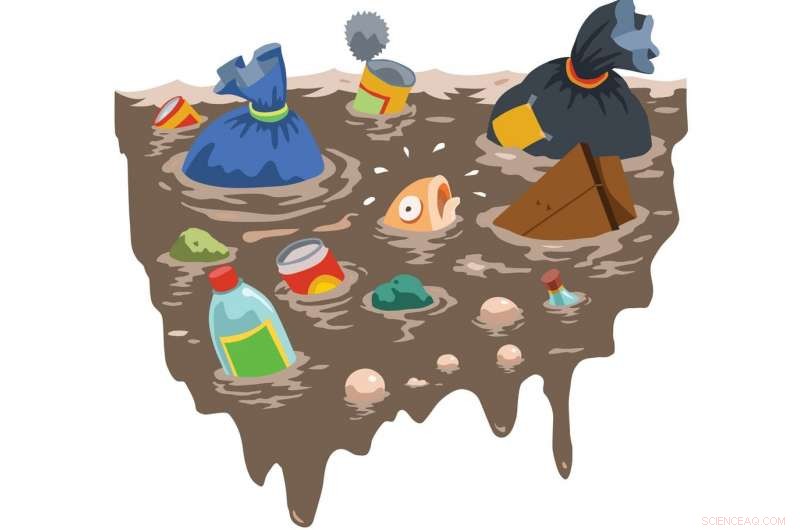 Ocean Plastic Surge: Rising Levels, Weak Evidence of Harm