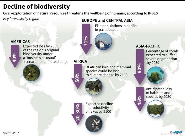 Land Degradation Threatens 50 Million Displacements, Global Survey Warns