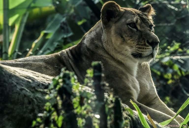 Land Degradation Threatens 50 Million Displacements, Global Survey Warns