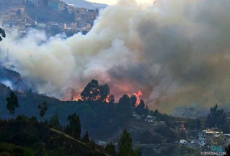 5 Proven Strategies to Halt Critical Land Degradation