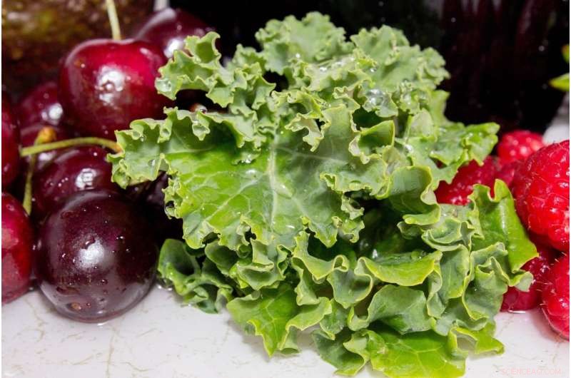 Food Waste: The Hidden Cost of Your Eating Habits