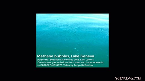 Research Reveals Fertilization as Key Driver of Global Lake Greenhouse Gas Emissions