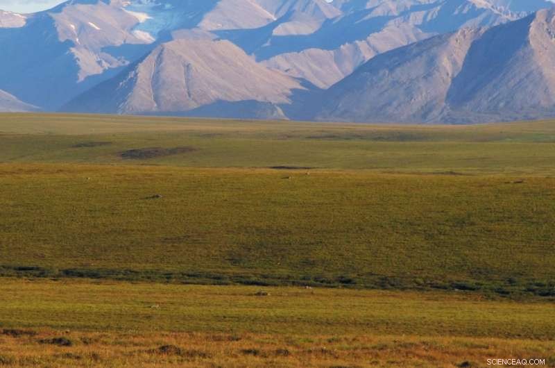 New Study Links Climate Policy to Reduced Carbon Emissions from Permafrost