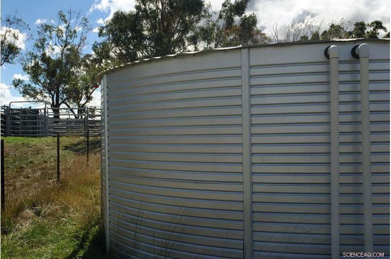 Maintain Clean Tanks to Minimize Microbial Risks in Rainwater