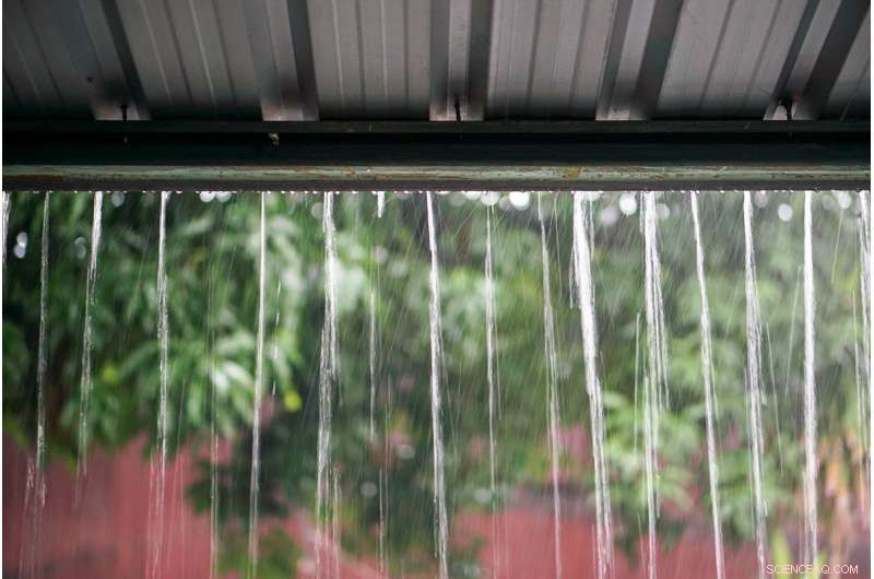 Maintain Clean Tanks to Minimize Microbial Risks in Rainwater