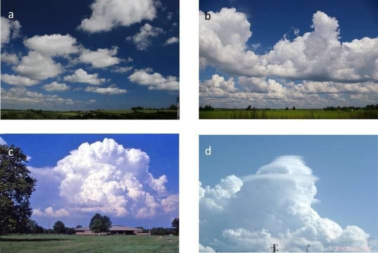 Discovering New Cloud Species: A Sky Spotter s Guide