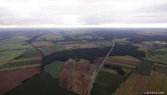 El Niño and Other Weather Phenomena Impact Two-Thirds of Global Harvests