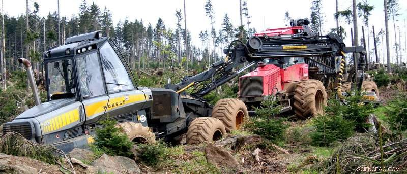 When Salvage Logging Masks Commercial Timber Harvesting: Exposing Hidden Practices