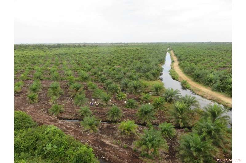 Drained Peatlands Significantly Increase Global Greenhouse Gas Emissions
