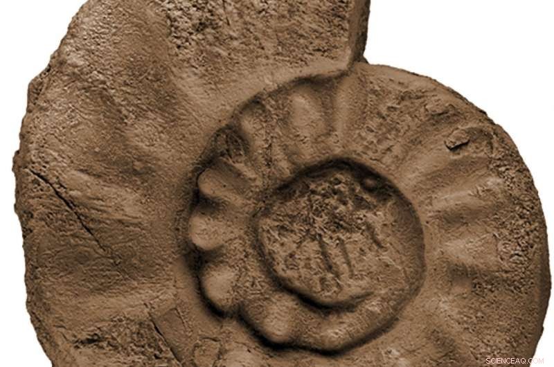 New Study Reveals Early Signs of Permian Mass Extinction, Offering Lessons for Today