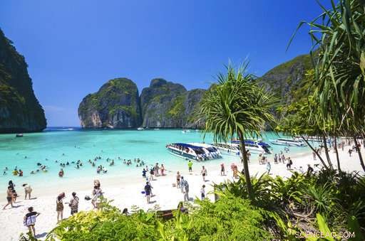 Maya Bay, the DiCaprio‑famous Beach, Temporarily Closed to Protect Its Ecosystem