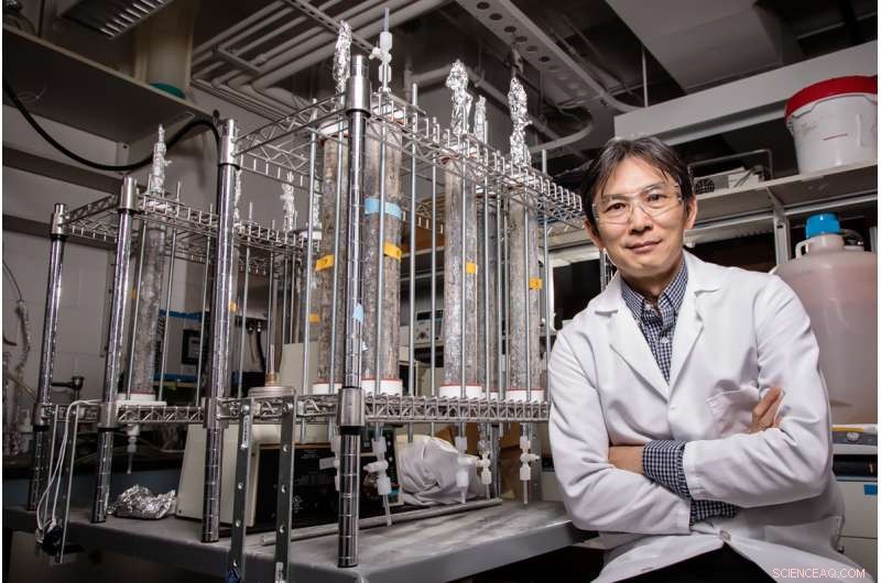 New Model Reveals How Bacteria Multiply Inside Home Plumbing Systems