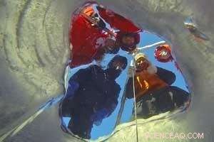 New Arctic Study Uncovers Rapid Climate Change Impacts, Challenging Assumptions