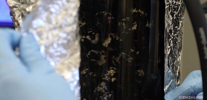 Anaerobic Microfiltration Membranes: A Promising Solution to Reduce Antibiotic Resistance in Wastewater Treatment