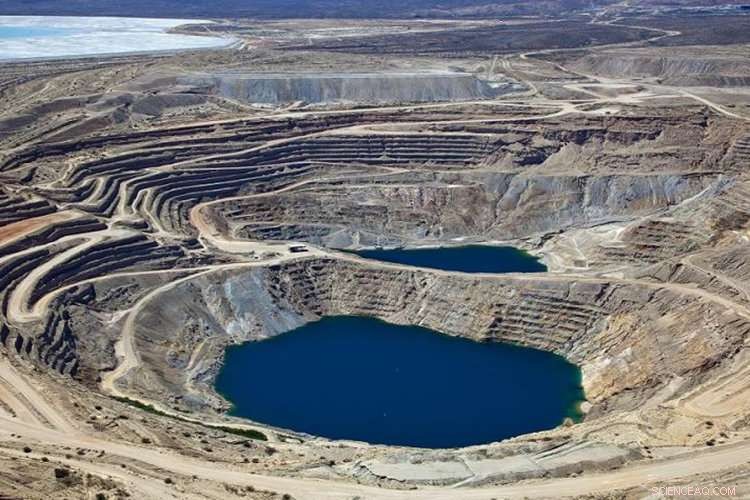 Land Degradation Drives Earth Toward a Sixth Mass Extinction