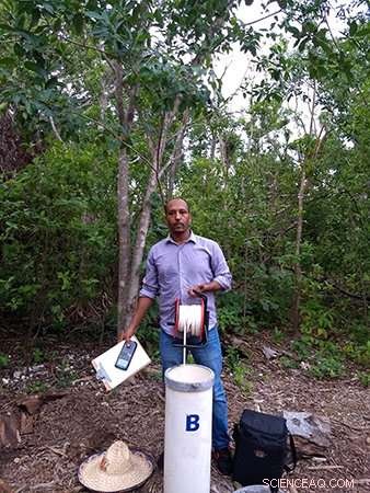 Ph.D. Student Investigates Drought Resilience in the Florida Everglades