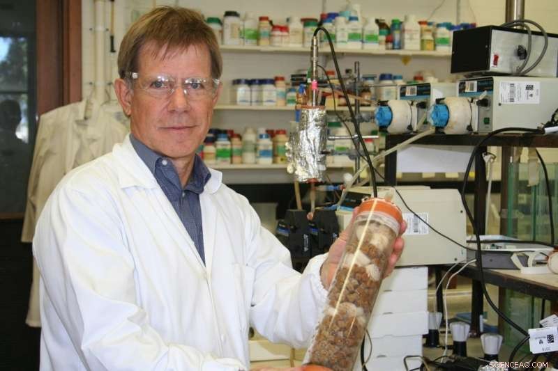 Murdoch University Breaks Ground with Affordable, Eco‑Friendly Wastewater Treatment Technology