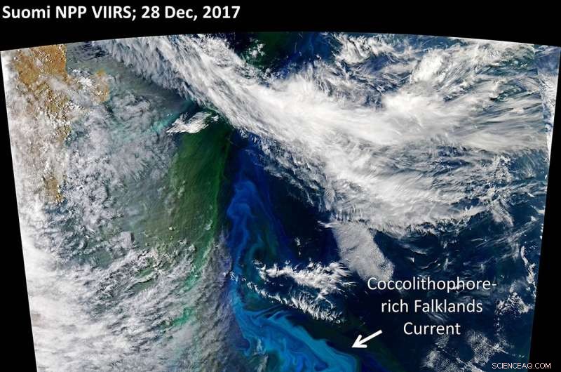 Satellite Technique Revolutionizes Underwater Data Collection from Space