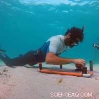 Coral Reefs: Natural Defense Against Storms