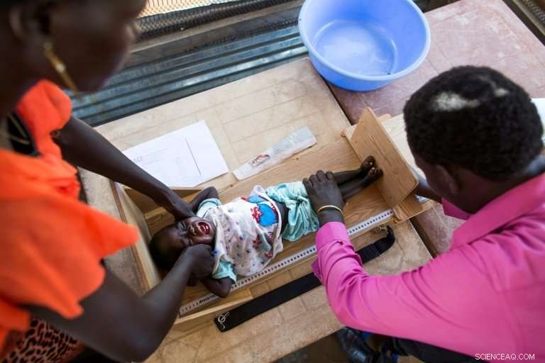 UN Food Agency Calls for Agroecology to Combat Global Famine