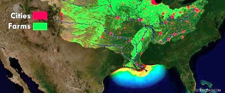 Stormwater Runoff: Impact on Environment and Communities