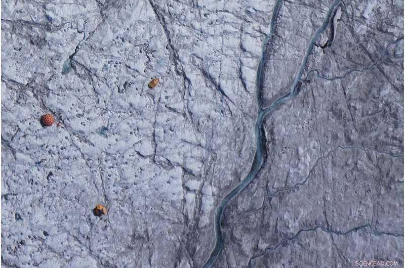 Algae and Impurities Darken Greenland Ice Sheets, Accelerating Melting Rates