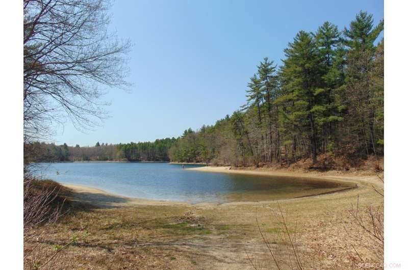 Walden Pond’s Ecosystem Threatened by Climate Change and Human Activity