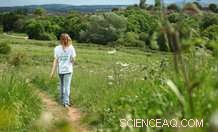 England s Coastlines Attract 270 Million Recreational Visits Annually