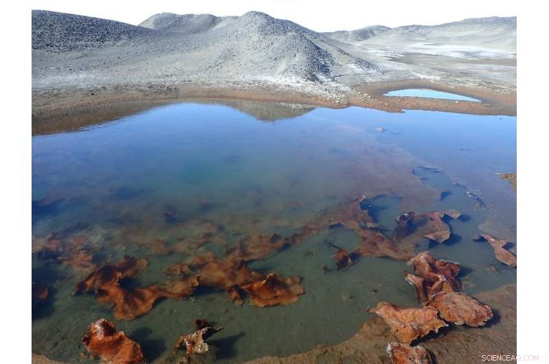 Captain Scott’s 1902 Antarctic Expedition Reveals New Climate Change Insights