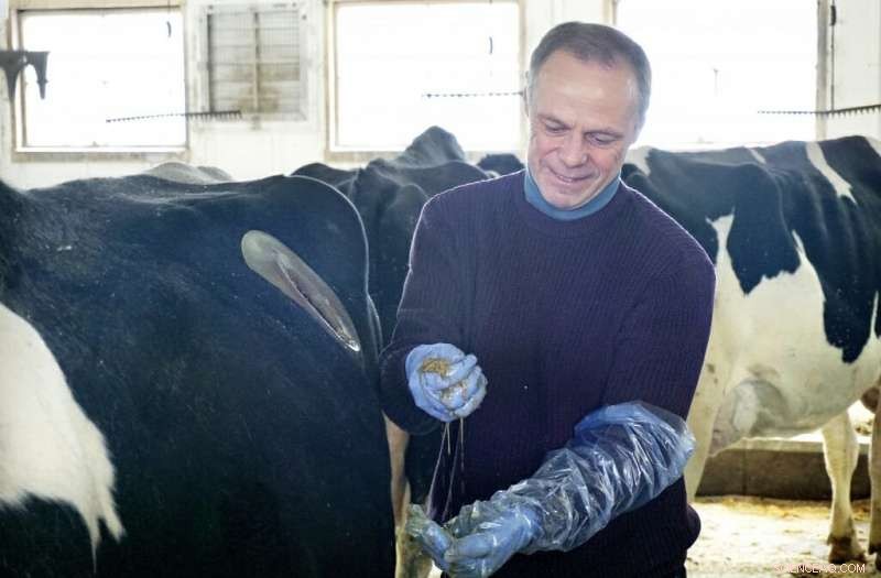 Tracking Dairy Cows’ Carbon Footprints from Barn to Field: A Comprehensive Study