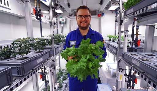 First Antarctic Greenhouse Yields Fresh Vegetables: Scientists Harvest Produce