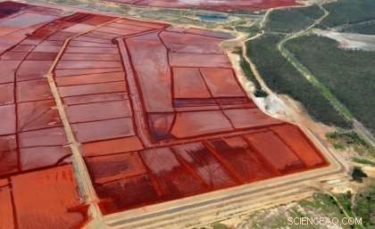 Innovative Solutions Turning Red Mud Dams into Productive Land