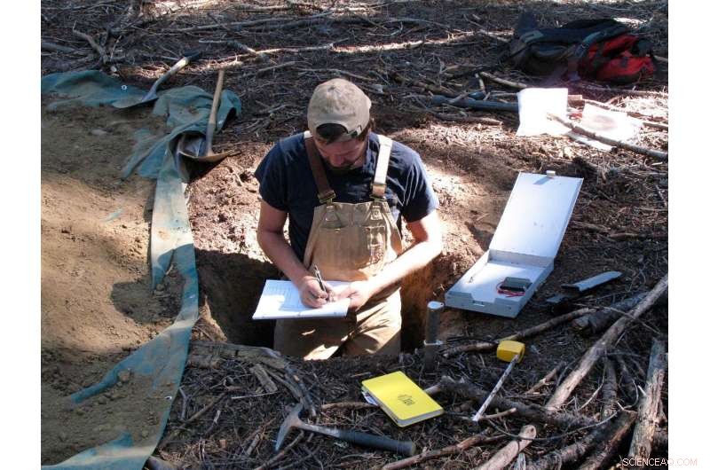 Scientists Discover New Global Reservoir of Nitrogen in Marine Rocks