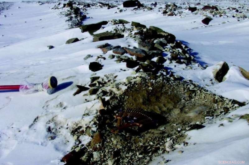 Imperial Researchers Trace 800,000-Year Meteorite Impact via Glassy Bead Trail