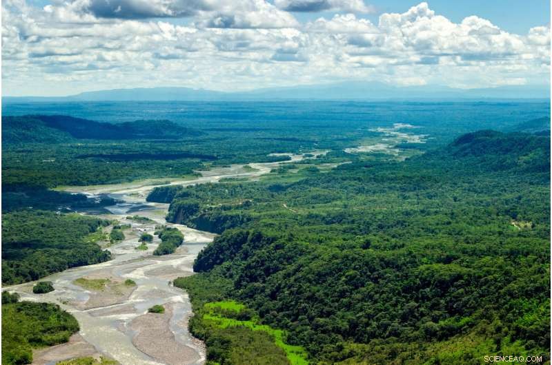Unveiling Amazonian Tribes: Why Western Fascination with El Dorado Persists