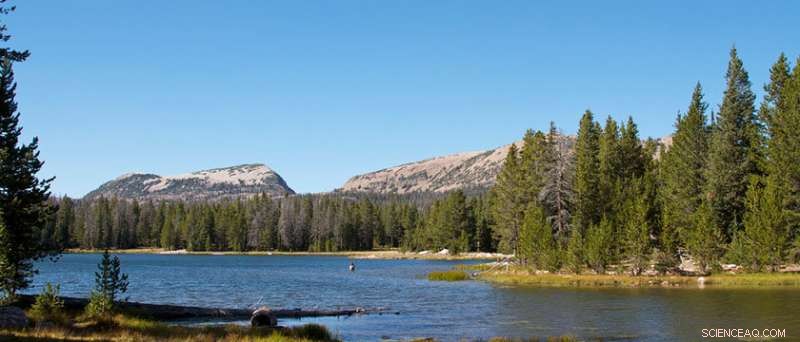 Climate Change s Impact on Rocky Mountain Alpine Lakes