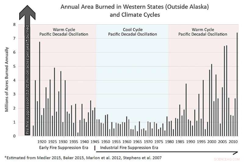 The Essential Guide to Wildland Forest Fires: Answers to Your Most Pressing Questions