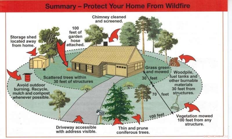 The Essential Guide to Wildland Forest Fires: Answers to Your Most Pressing Questions