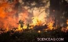 Geoengineering: Assessing Winners and Losers in Climate and Wildfire Risks