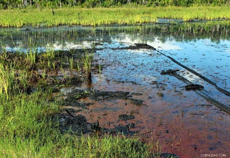 New Study Reveals Hazardous Arsenic Levels in Amazon Basin Well Water