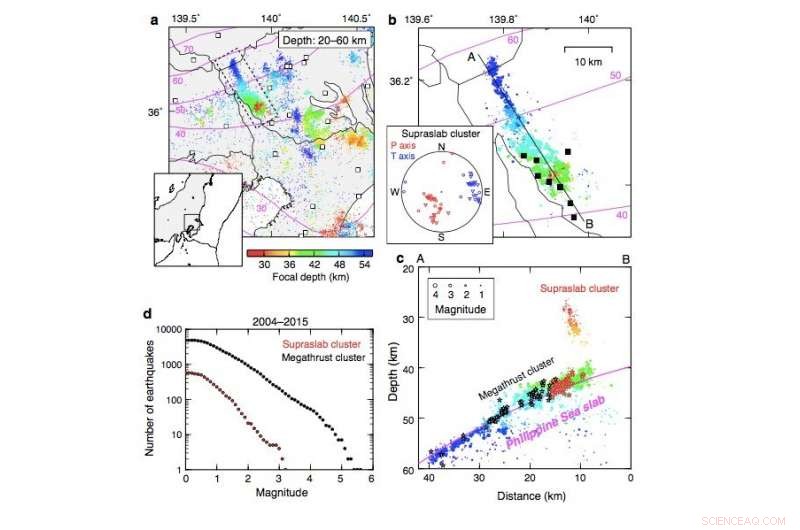 Revolutionizing Megathrust Earthquake Prediction with Slow Slip and Fluid Drainage