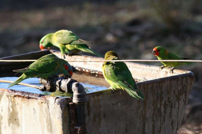 Why Does Tap Water Taste Odd? Uncovering the Causes