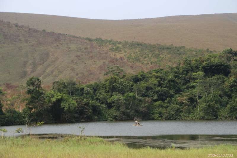 Reevaluating Tropical African Deforestation: Findings Show Less Damage Than Expected