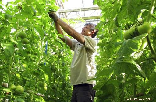 Revolutionizing Organic Standards: Farmers Introduce New Label Excluding Hydroponics