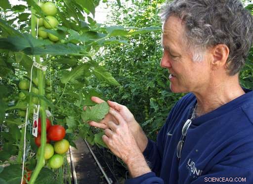 Revolutionizing Organic Standards: Farmers Introduce New Label Excluding Hydroponics