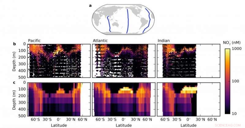 How Marine Microbes Compete for Nitrogen: Insights from MIT Research