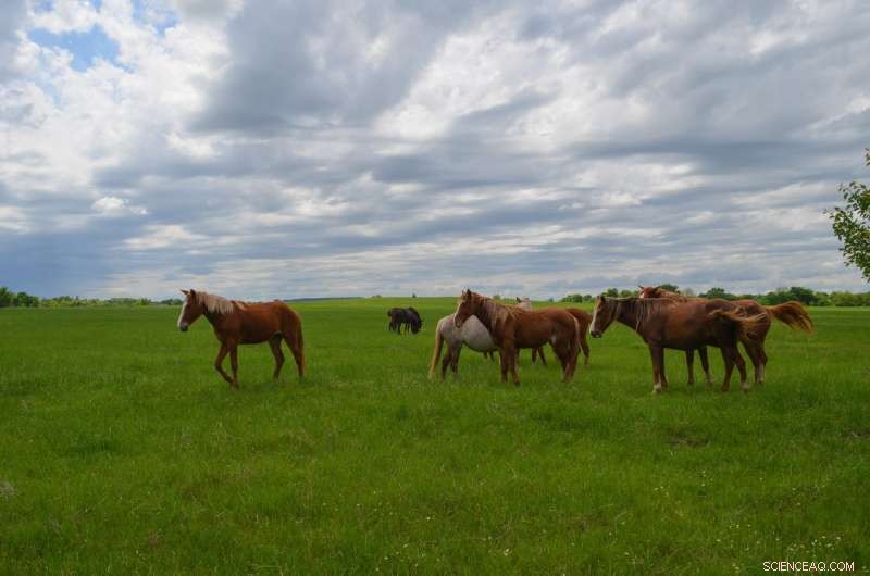 Is the 100th Meridian Shifting? New Data Shows the Great Plains Divide Moving East