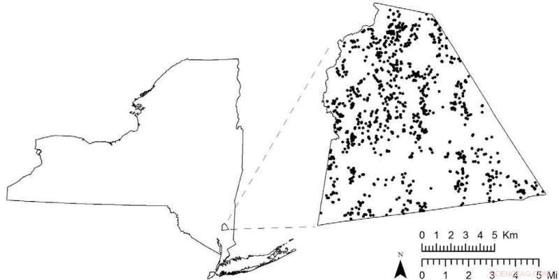 Road Salt Contamination Threatens Suburban New York Water Wells
